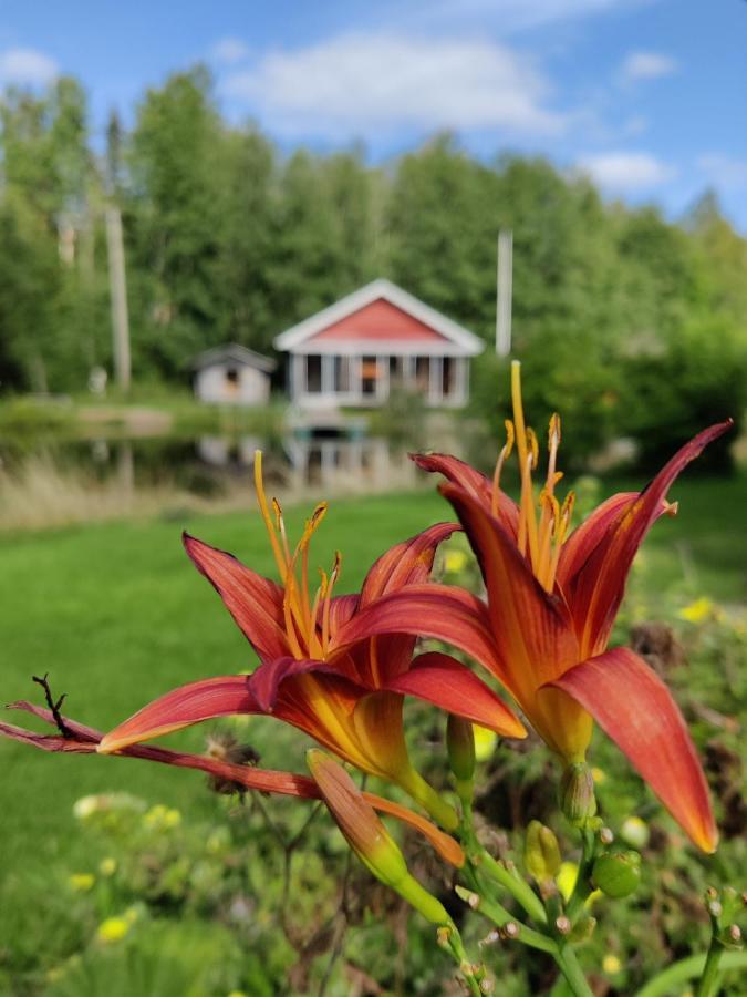 Hannunluhdan Lomamökit Karijoki Bagian luar foto