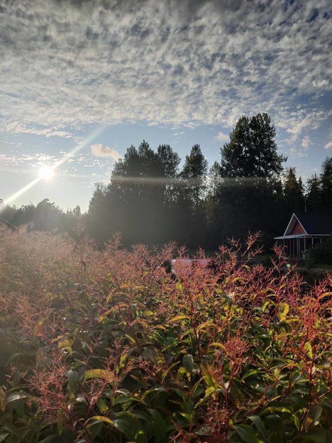 Hannunluhdan Lomamökit Karijoki Bagian luar foto