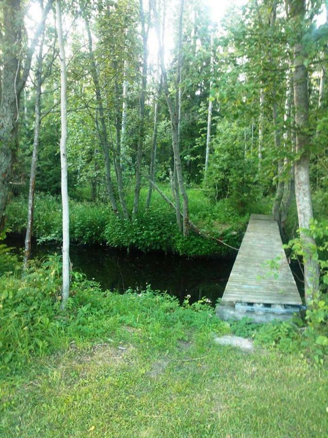 Hannunluhdan Lomamökit Karijoki Bagian luar foto